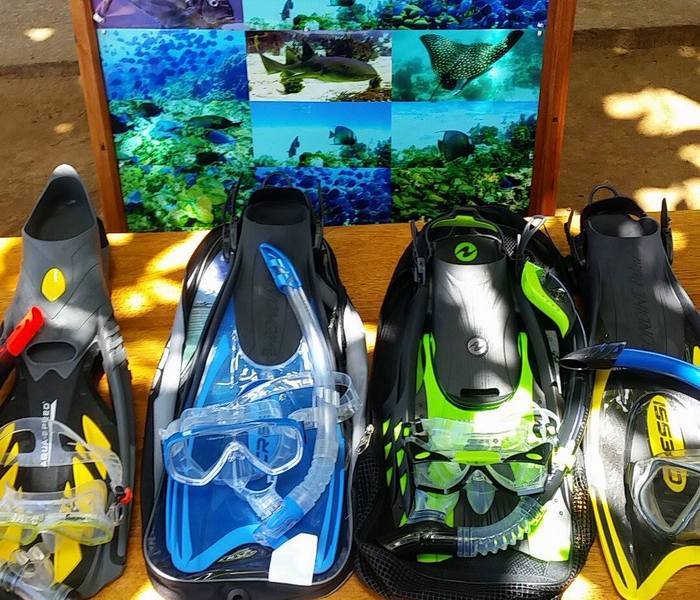 All our equipment is in top condition. We are proud to offer our participants a wide selection of snorkeling equipment. We can guarantee that all our snorkel equipment is new. We know perfect fitting snorkel equipment makes the difference between joy and misery.